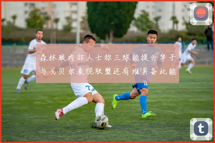 森林狼内部人士称三球能提升华子与戈贝尔表现联盟还有谁具备此能力