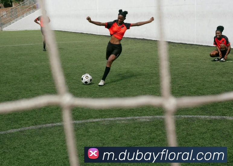米兰体育官网登录入口平台生态图